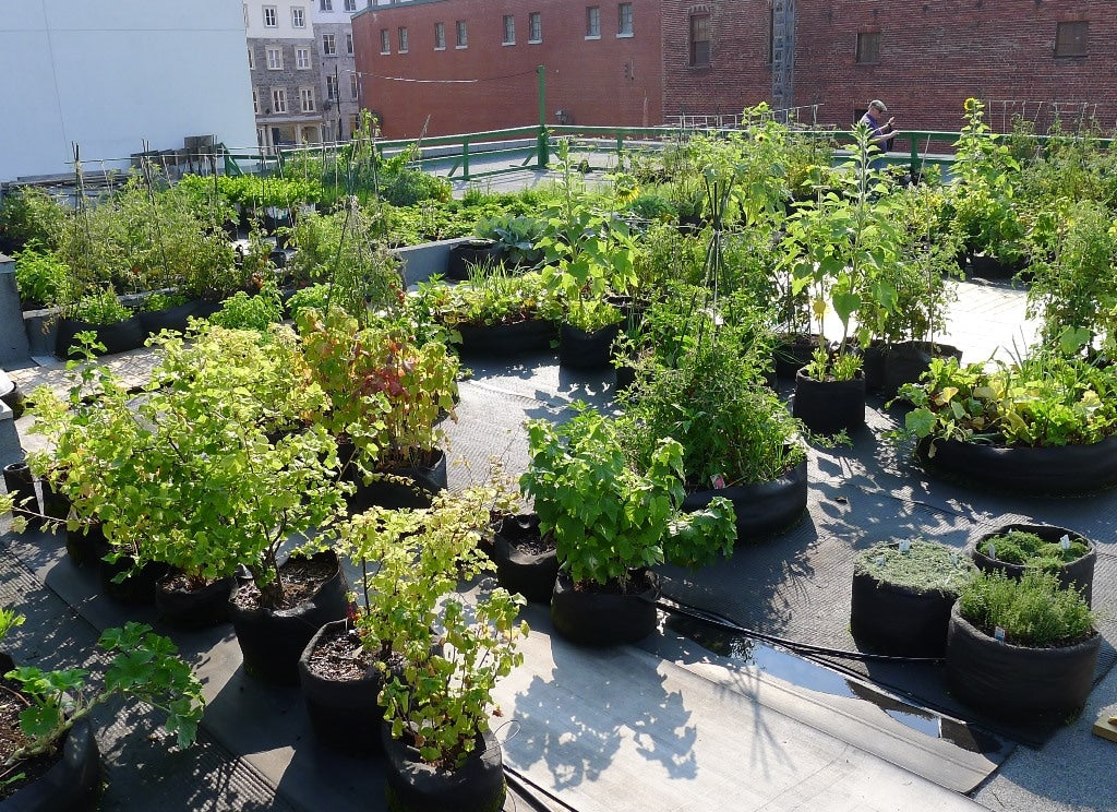 Planning a Smart Pot Garden