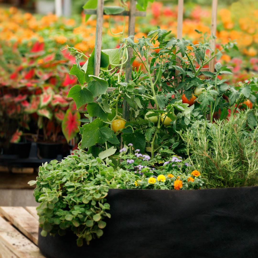 Expect a Performance Garden™