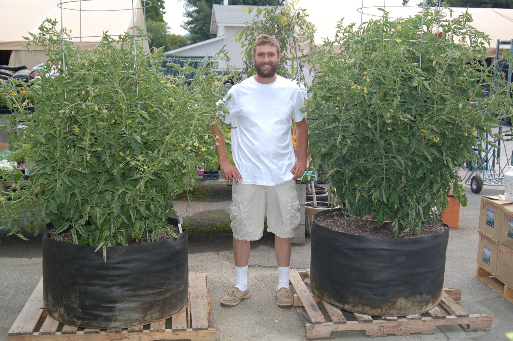 Spring hydroponic garden