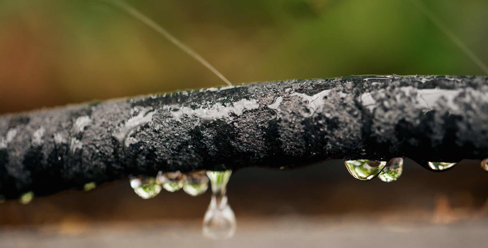 Saving Water When It's Hotter: Six Tips for Creating a Drought Tolerant Garden