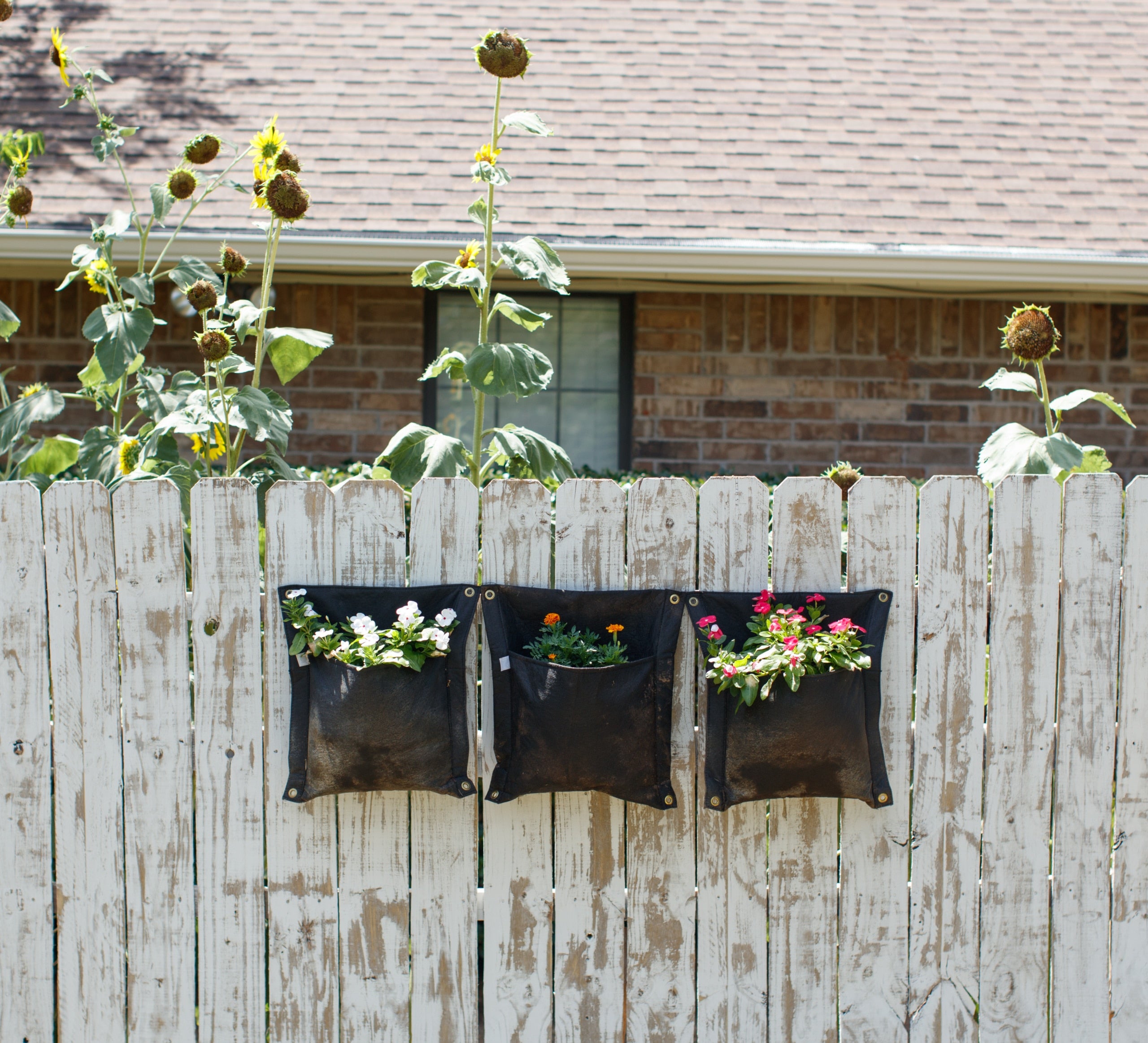 Don't Worry, BEE Happy!