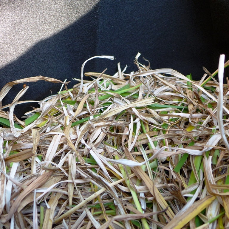 Composting Tips for Fall to Spring