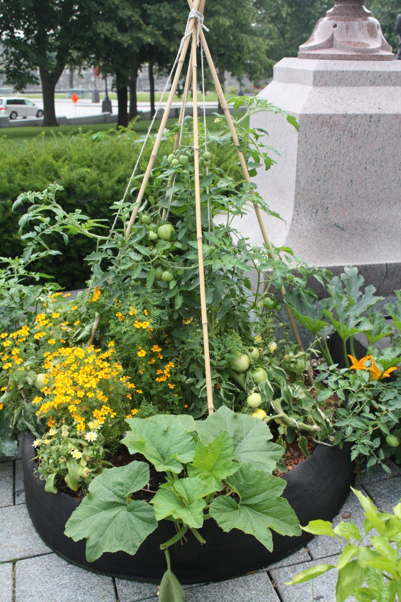 Raised bed garden