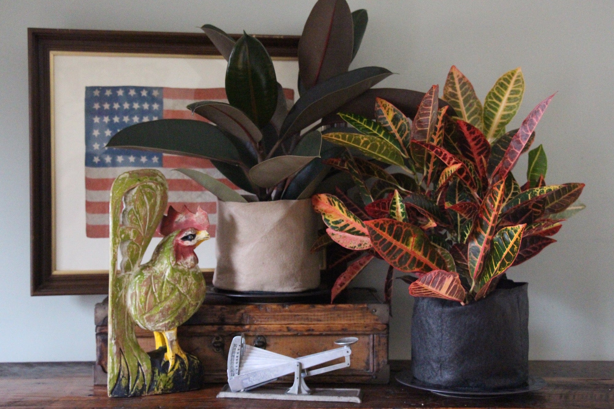 It's Easy to Grow Houseplants in Smart Pots