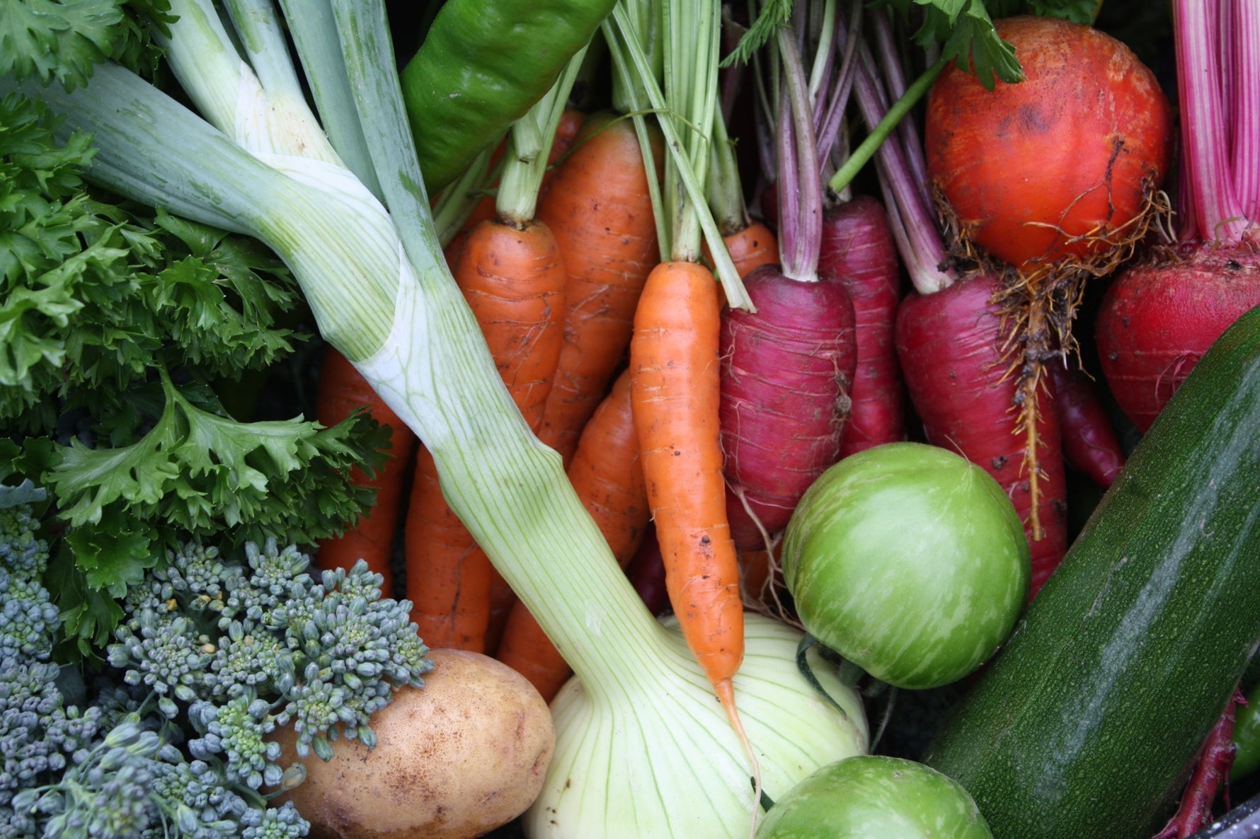 Vegetables grown with Smart Pot containers