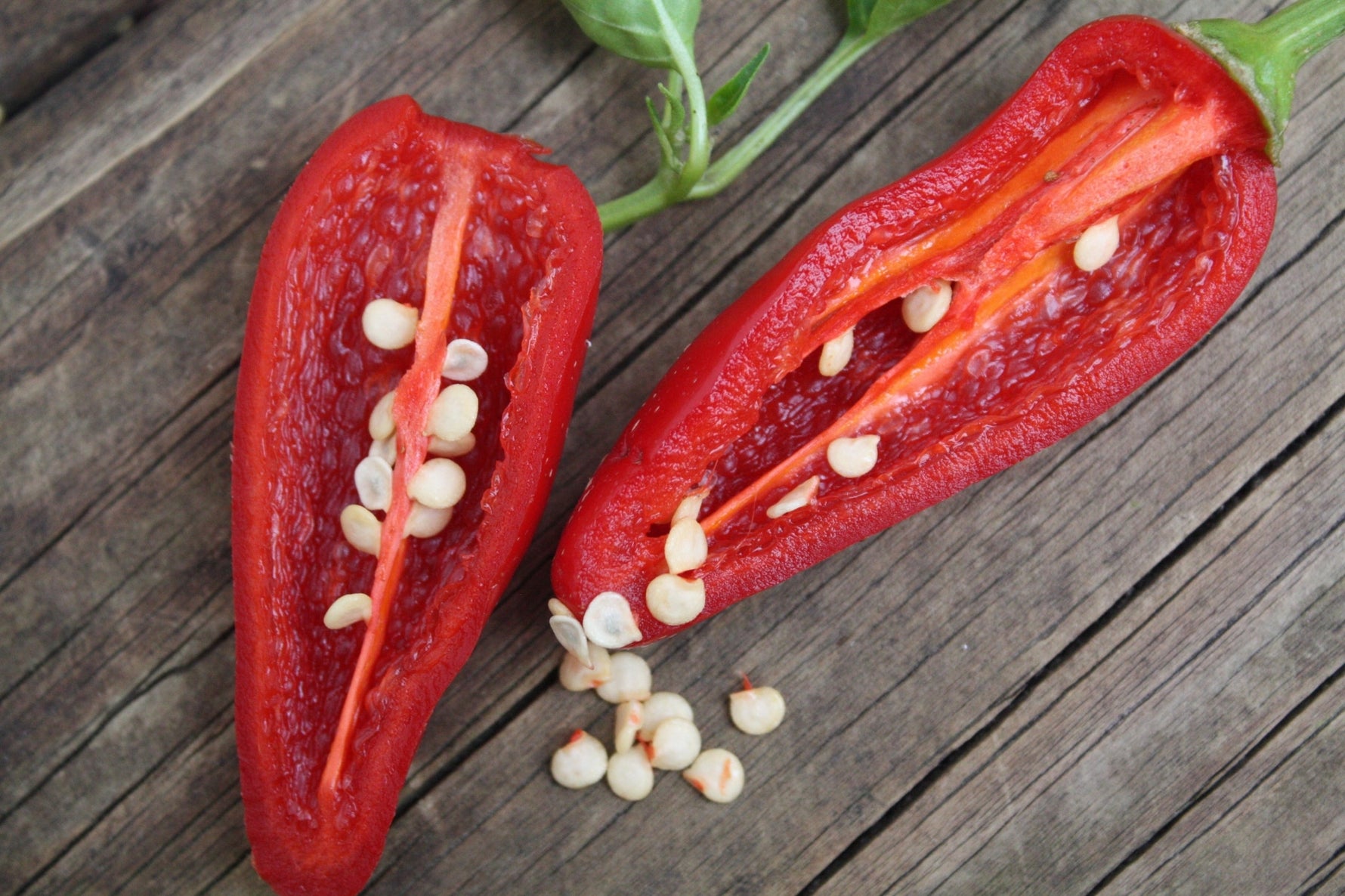 Peppers grown with Smart Pot containers