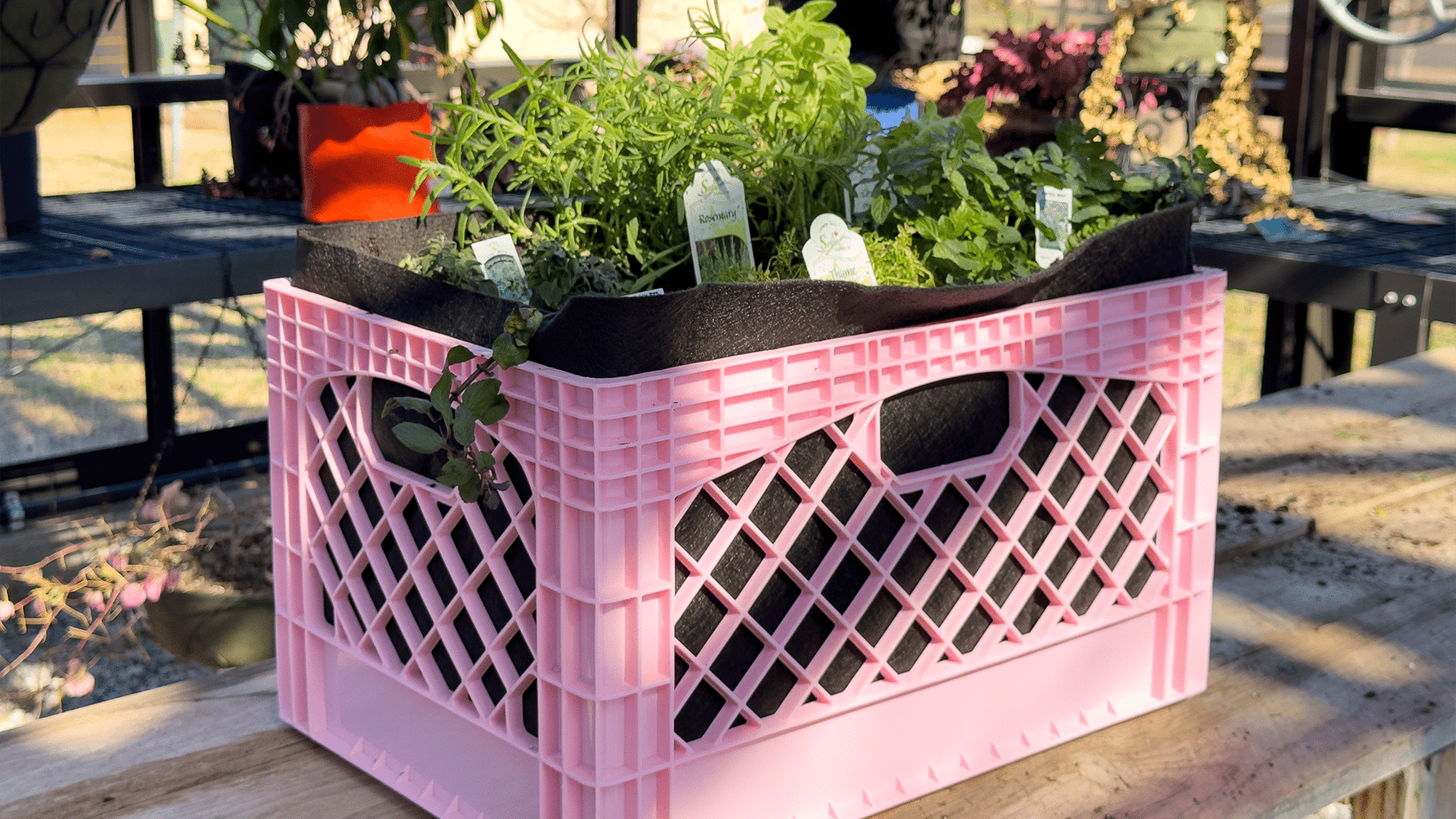 Smart Pot Loving Herb Pharmacy