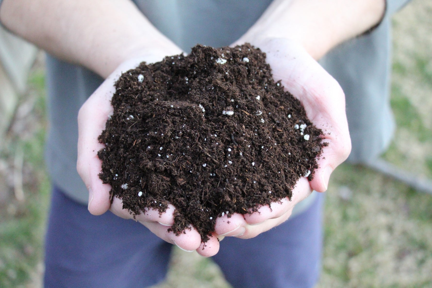 Potting mix for healthy plants