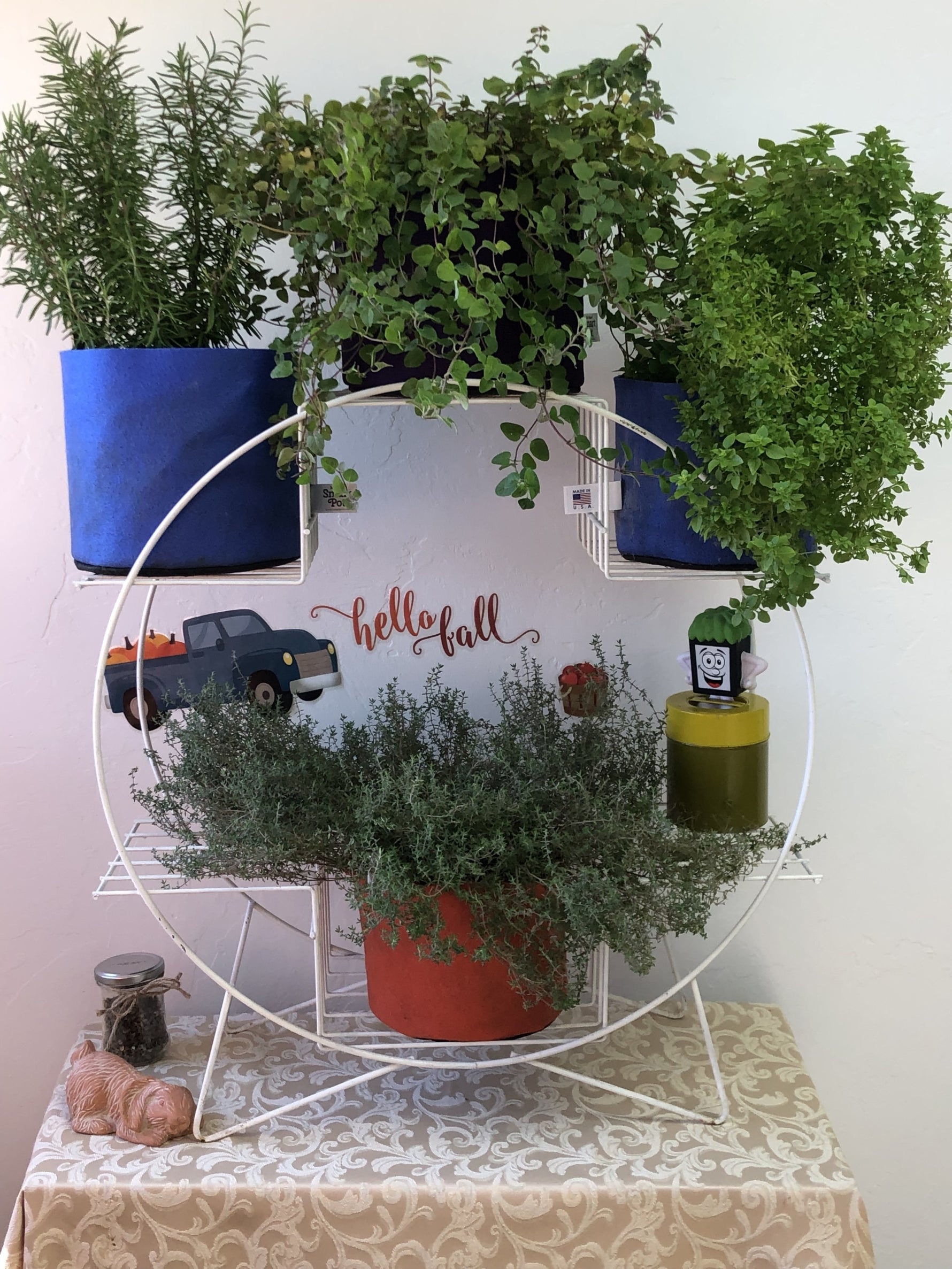 3 Basic Ways to Overwinter Your Container Garden