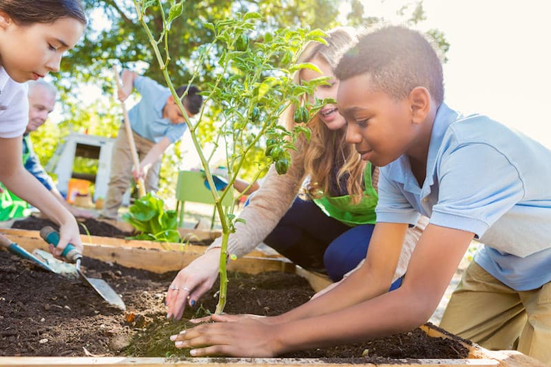 Start Your School Garden with Fabric Pots