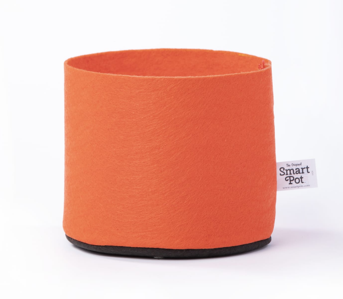 Houseplant How-To With Smart Pots - by Jodi Torpey