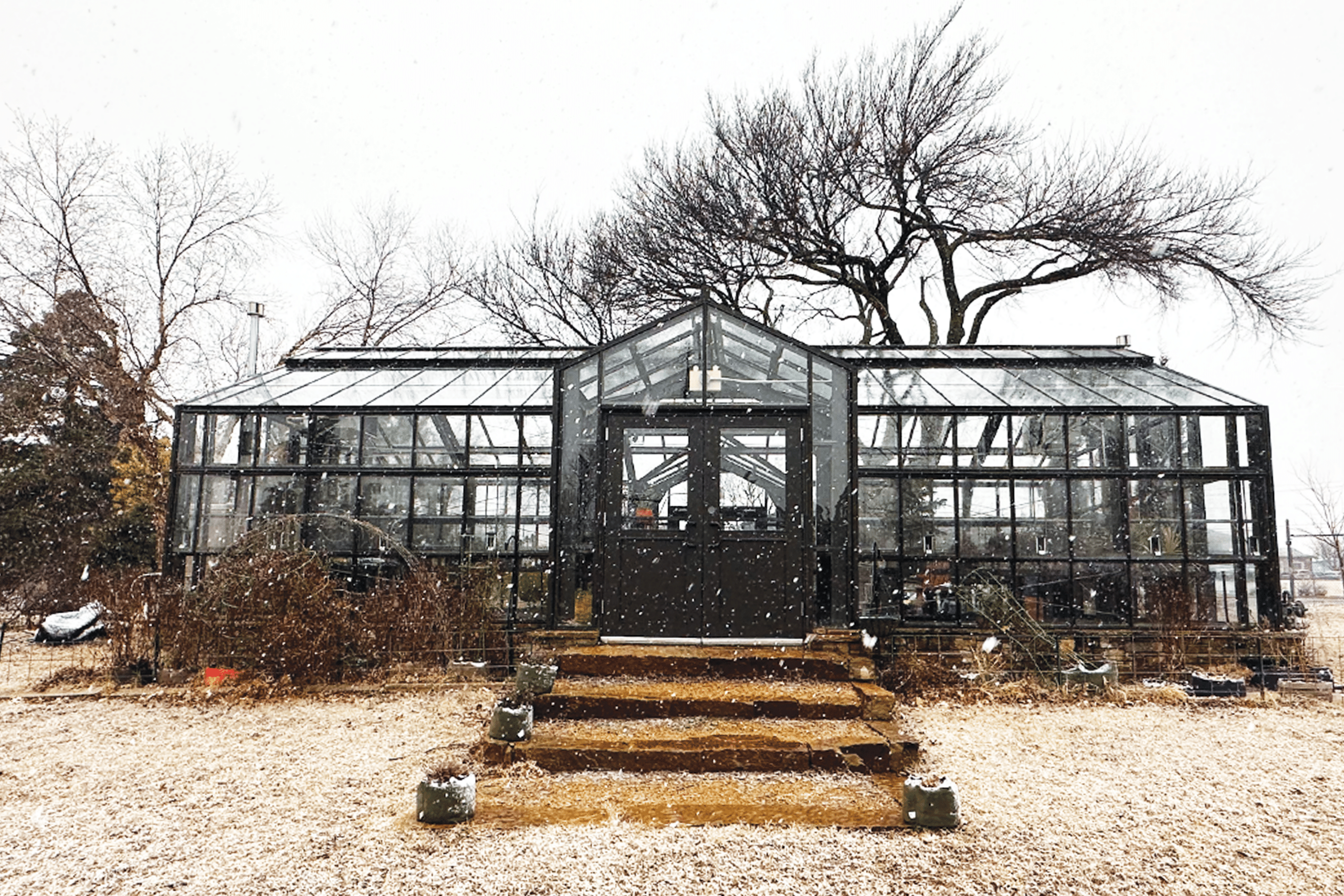 Smart Pot Winter Care Blog Title Image