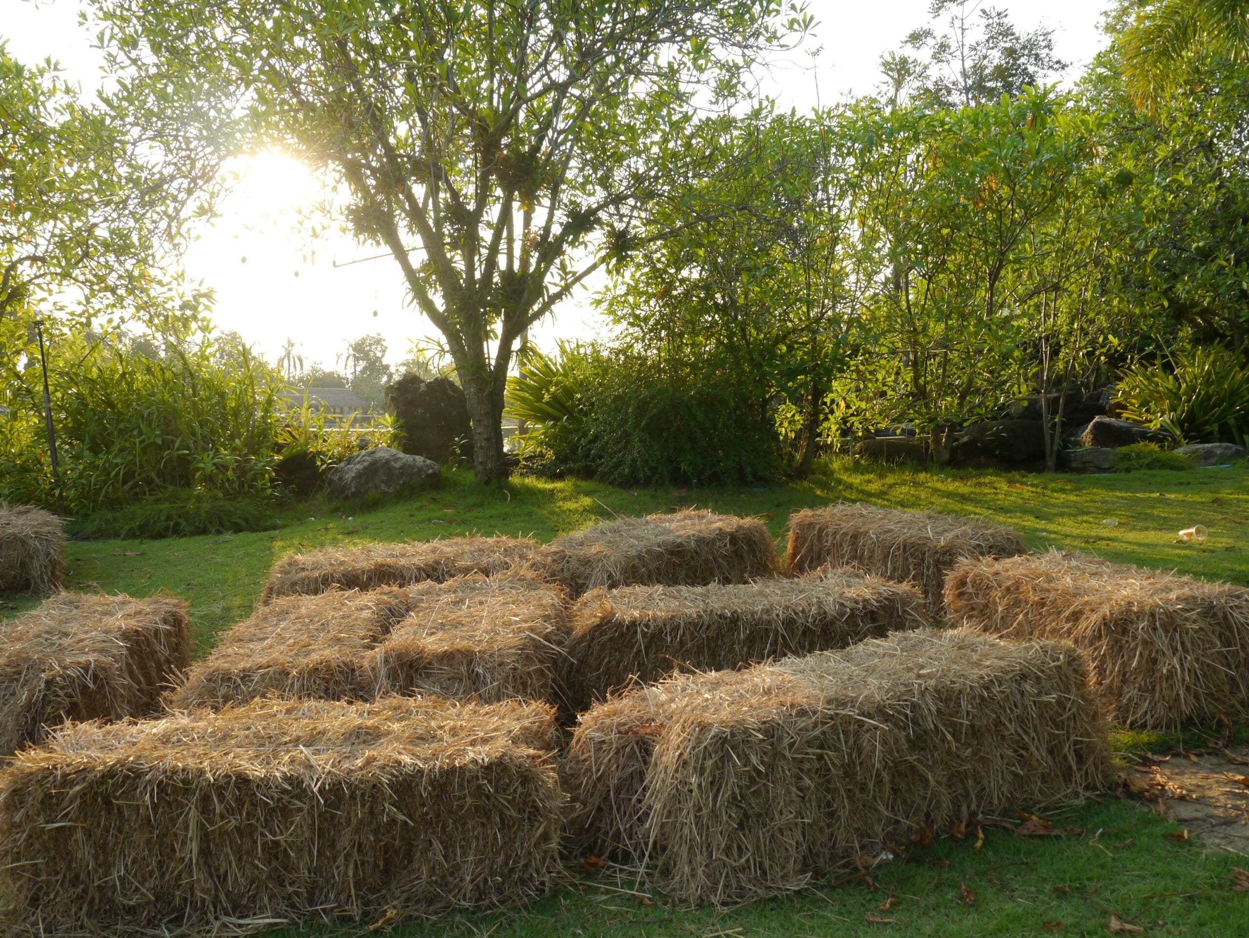 Making a cold frame out of straw bales