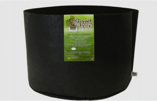 What Size Smart Pot Should  I Use?