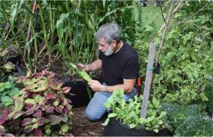 Anyone Can Grow Their Own Food Thanks to Container Gardening