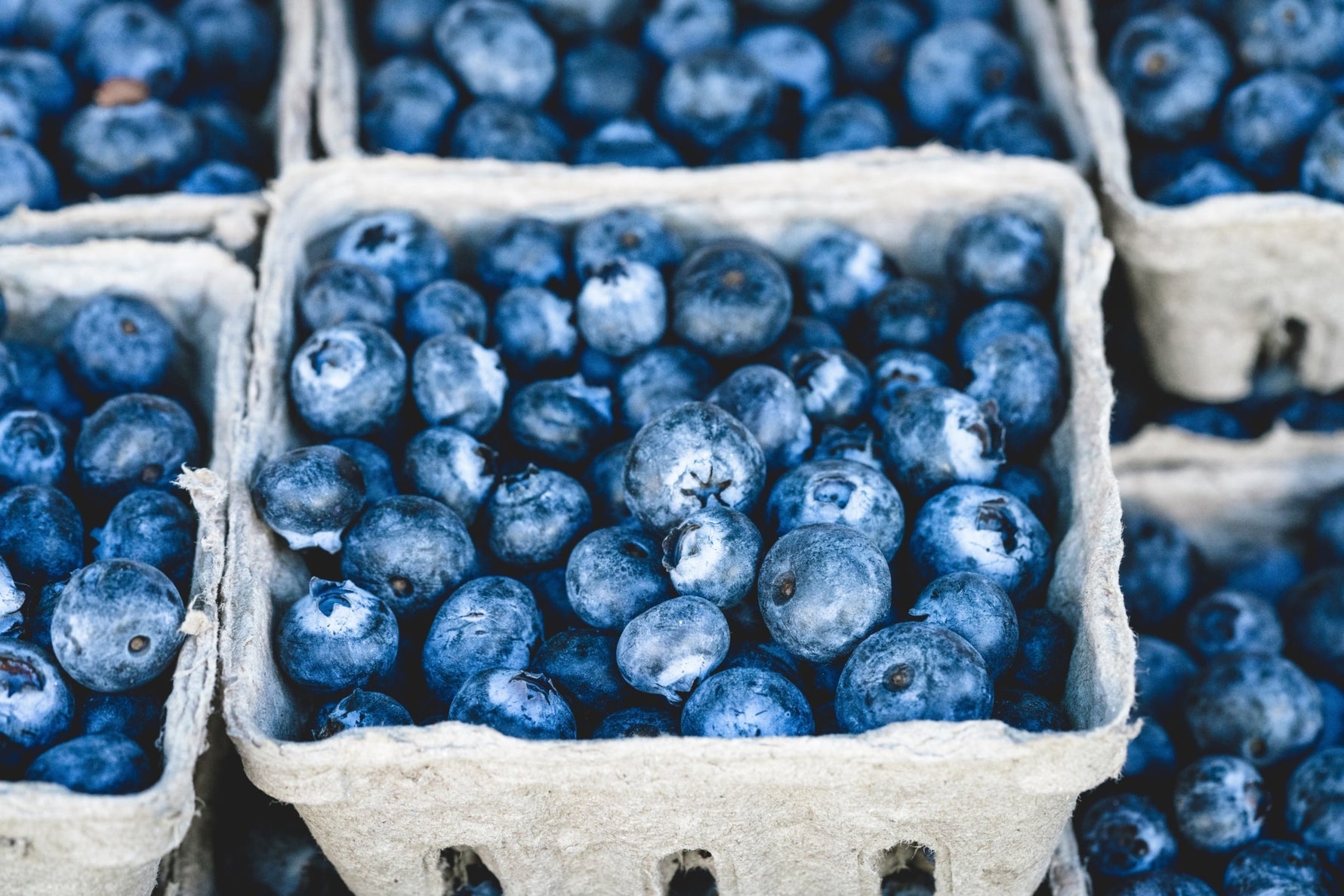 Berry Delicious Gardening: The Top Six Berry Crops to Grow in Containers