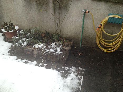 Winter Watering