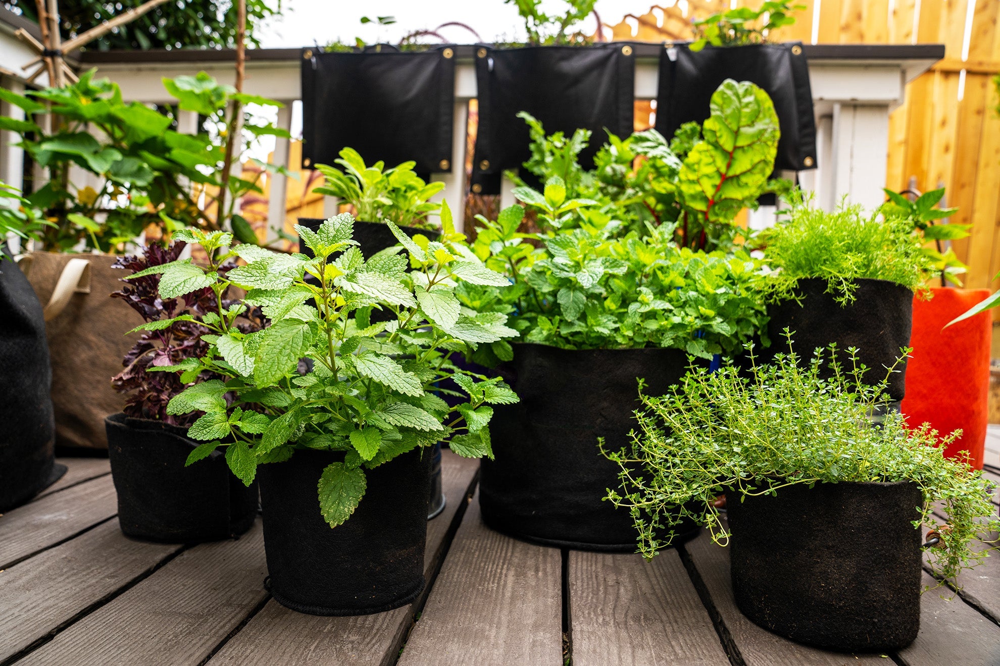 Shop All Smart Pots