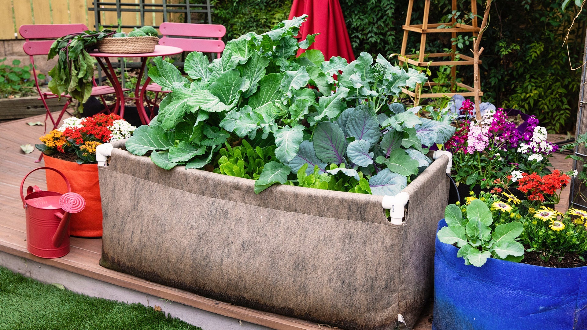 Urban Raised Bed Garden