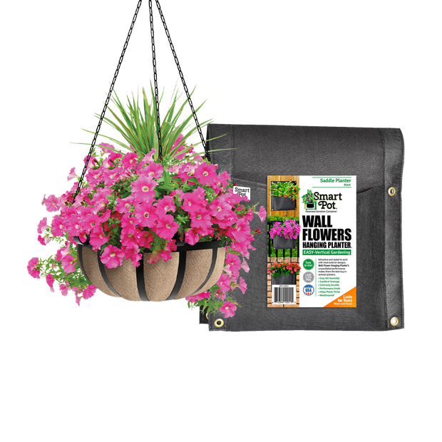 Specialty and Hanging Planters