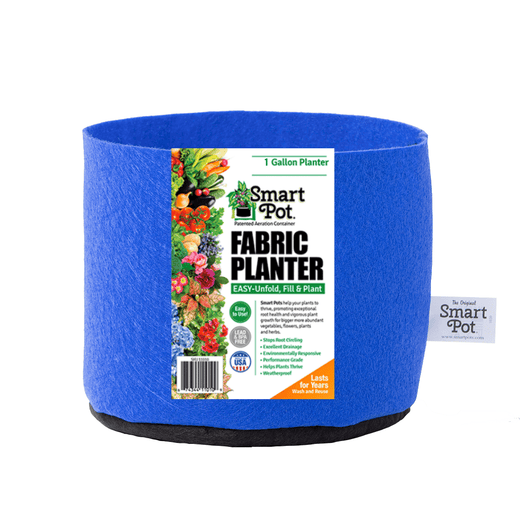 1 Gallon / Berry Blue / Without Handles
