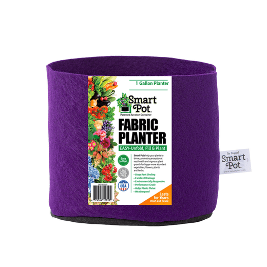 1 Gallon / Bright Violet / Without Handles