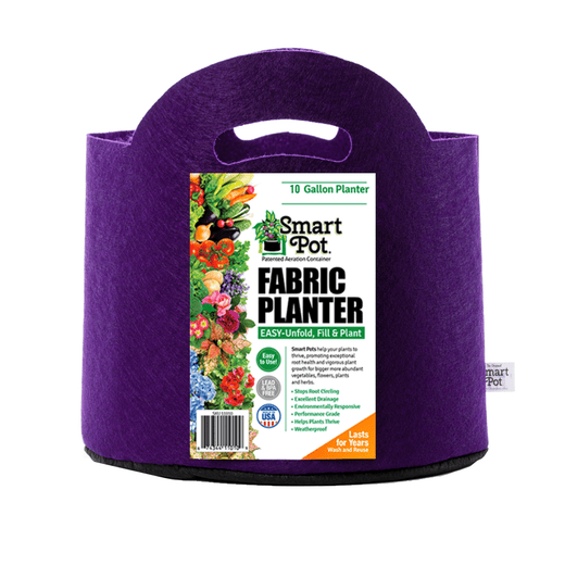 10 Gallon / Bright Violet / With Handles