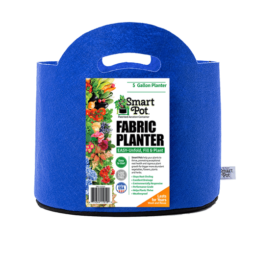 5 Gallon / Berry Blue / With Handles