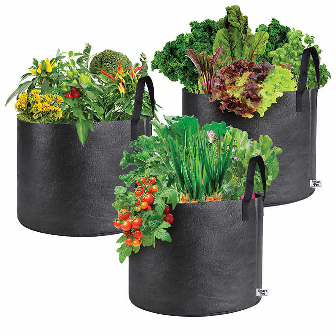 smart pot 15 gallon fabric planter Smart Pot 15-Gallon Vegetable Planters (3 Pack)
