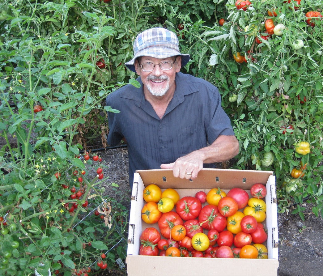 Man holding a box of tomatoes in a garden