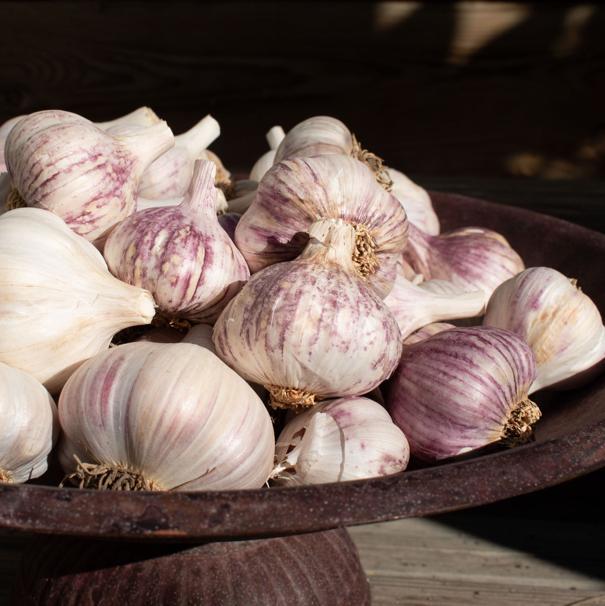 Keene Garlic | Heirloom | Organic – Smart Pot