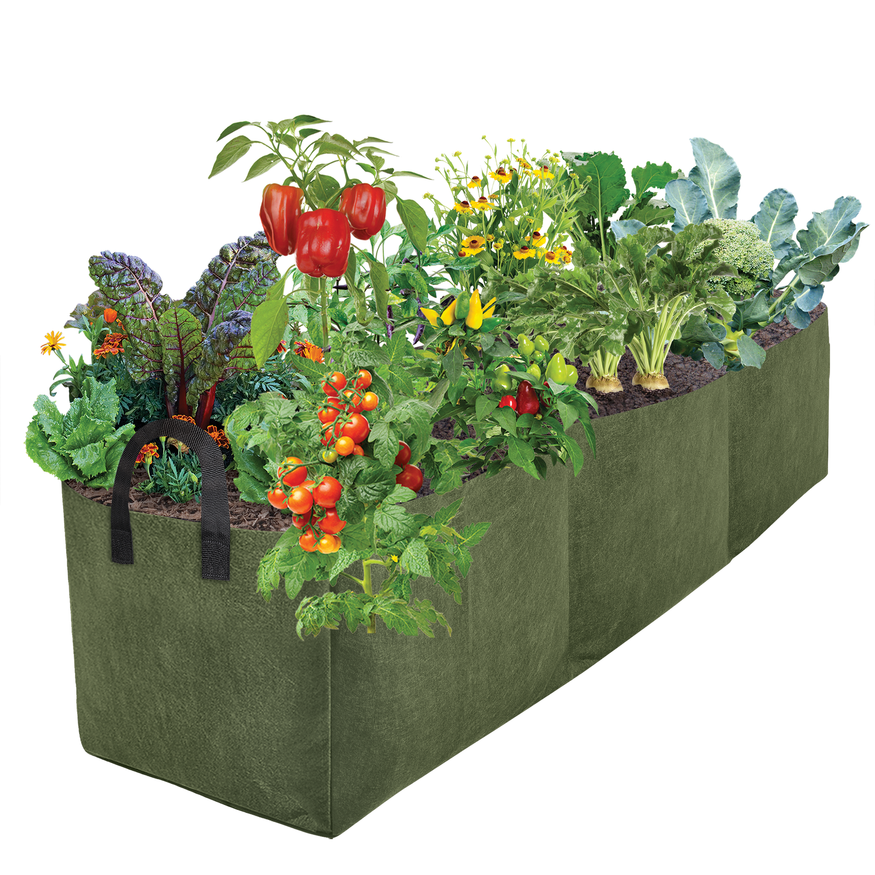 smart pot raised bed planter Smart Pot Lil' Shorty Raised Bed Planter