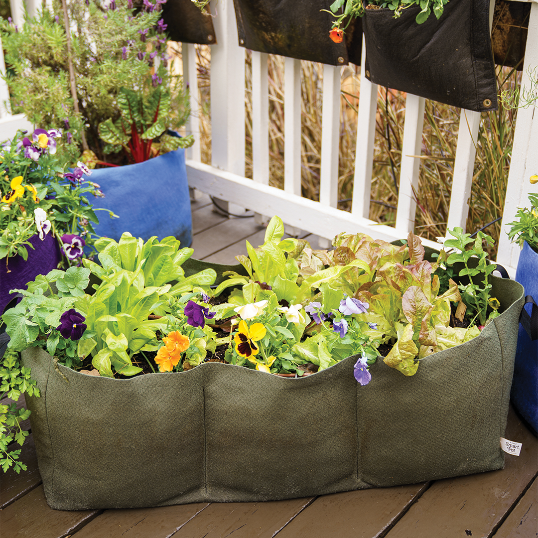smart pot raised bed planter Smart Pot Lil' Shorty Raised Bed Planter