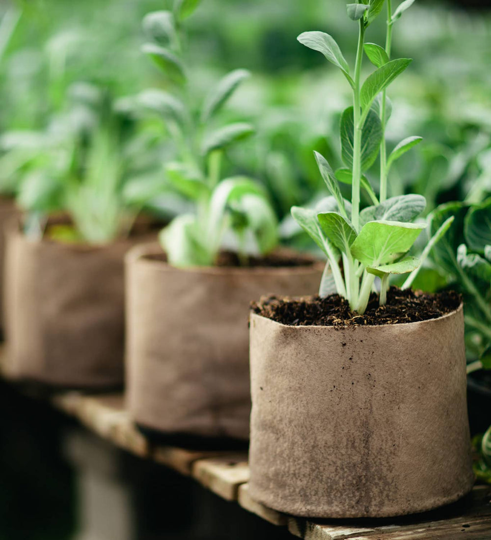 Smart Pot fabric planters made in Oklahoma City