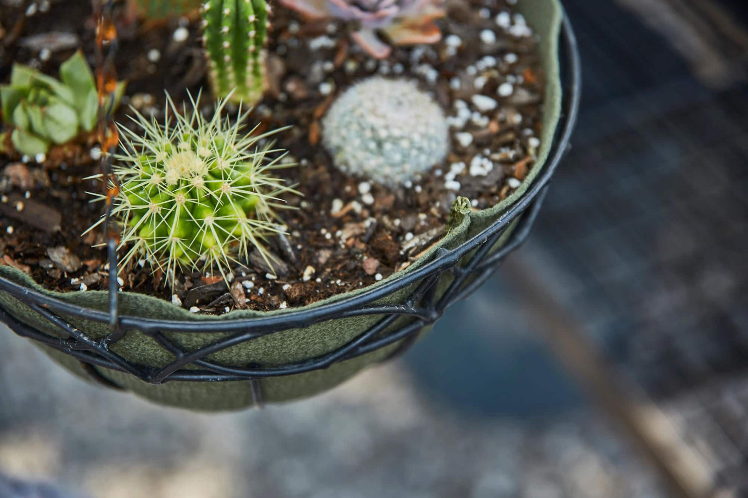 Smart Pot NoCoco Liner