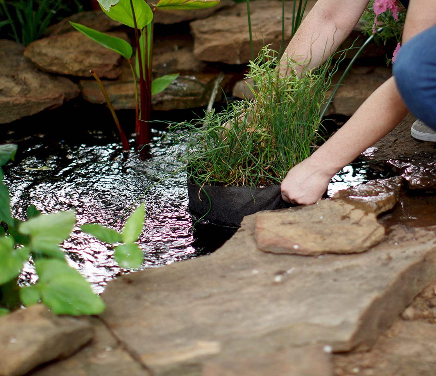 best pots for pond plants Smart Pot Pond Pot