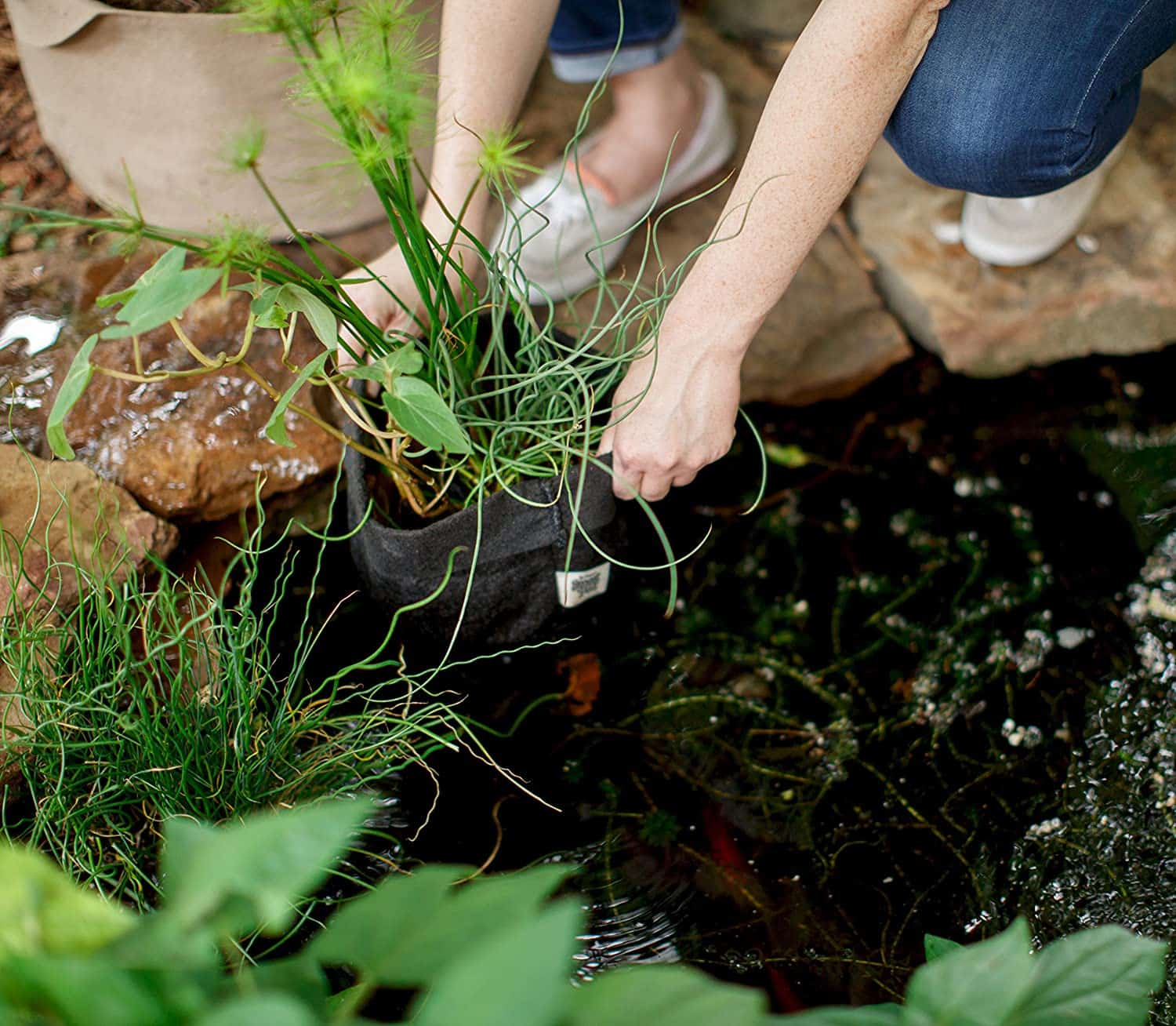 pond plant pots for sale Smart Pot Pond Pot