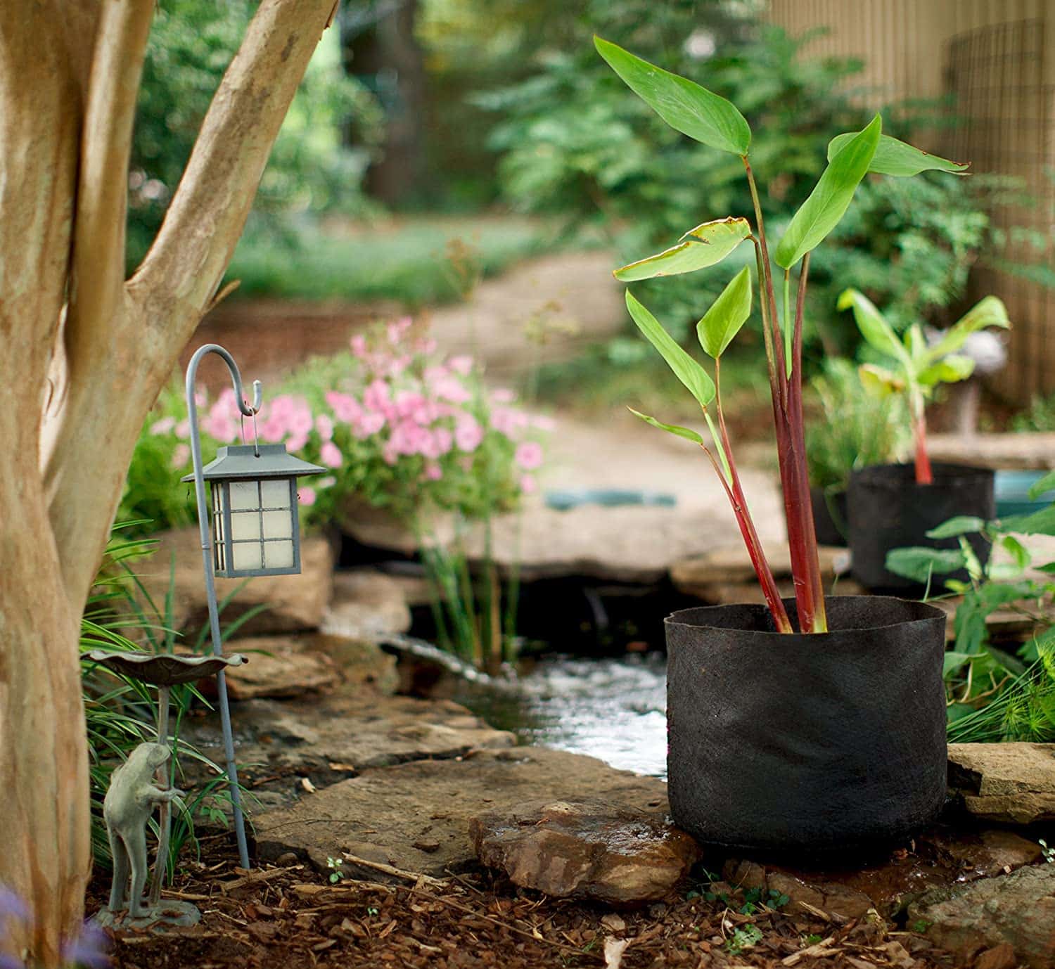 pond plant pots Smart Pot Pond Pot