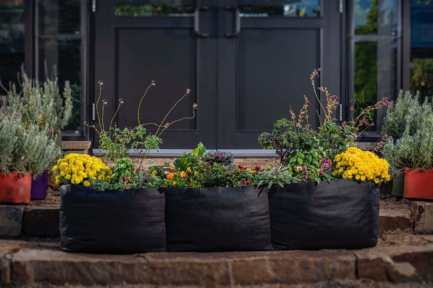 raised pots for plants Smart Pot Raised Bed Planter