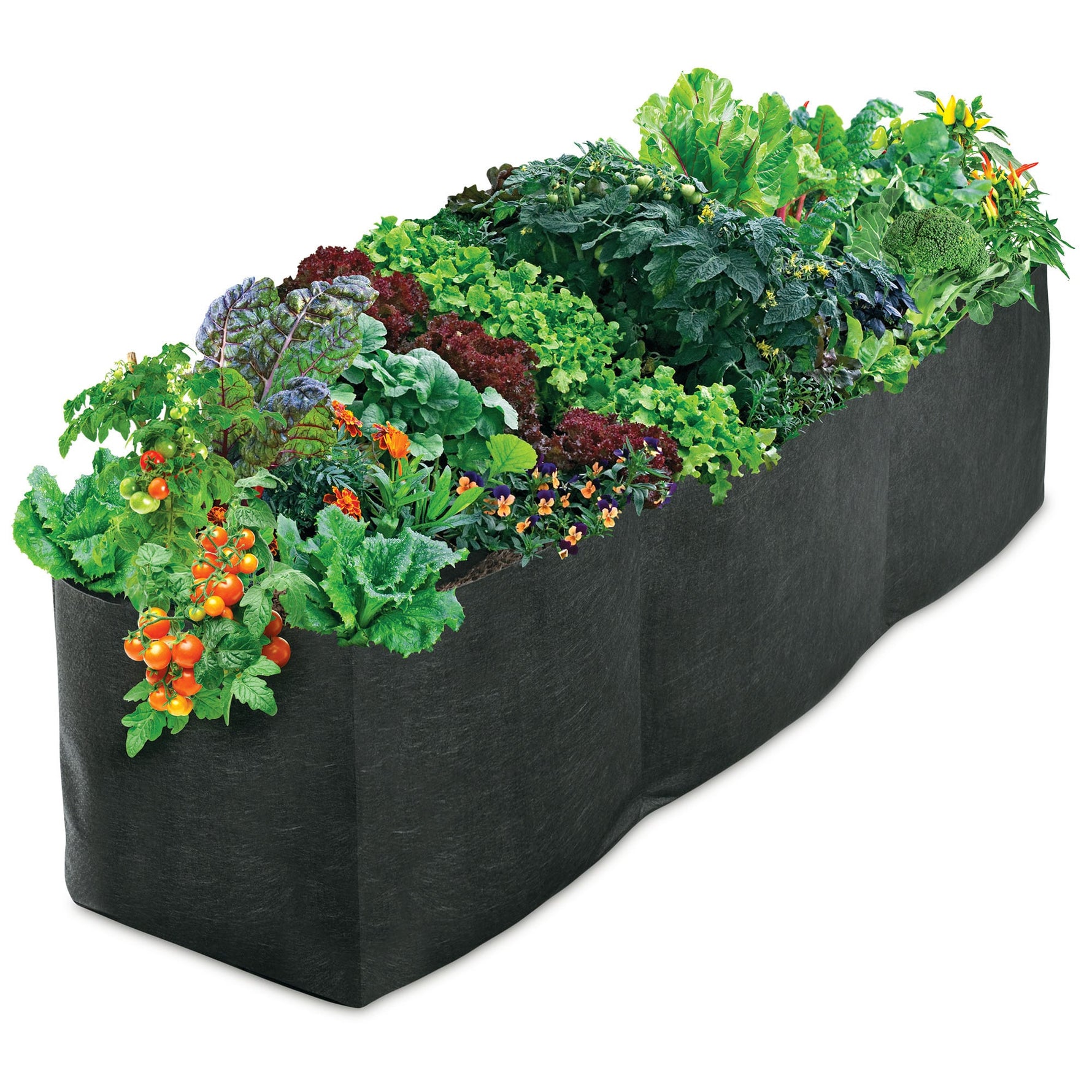 smart pot fabric planter Smart Pot Raised Bed Planter