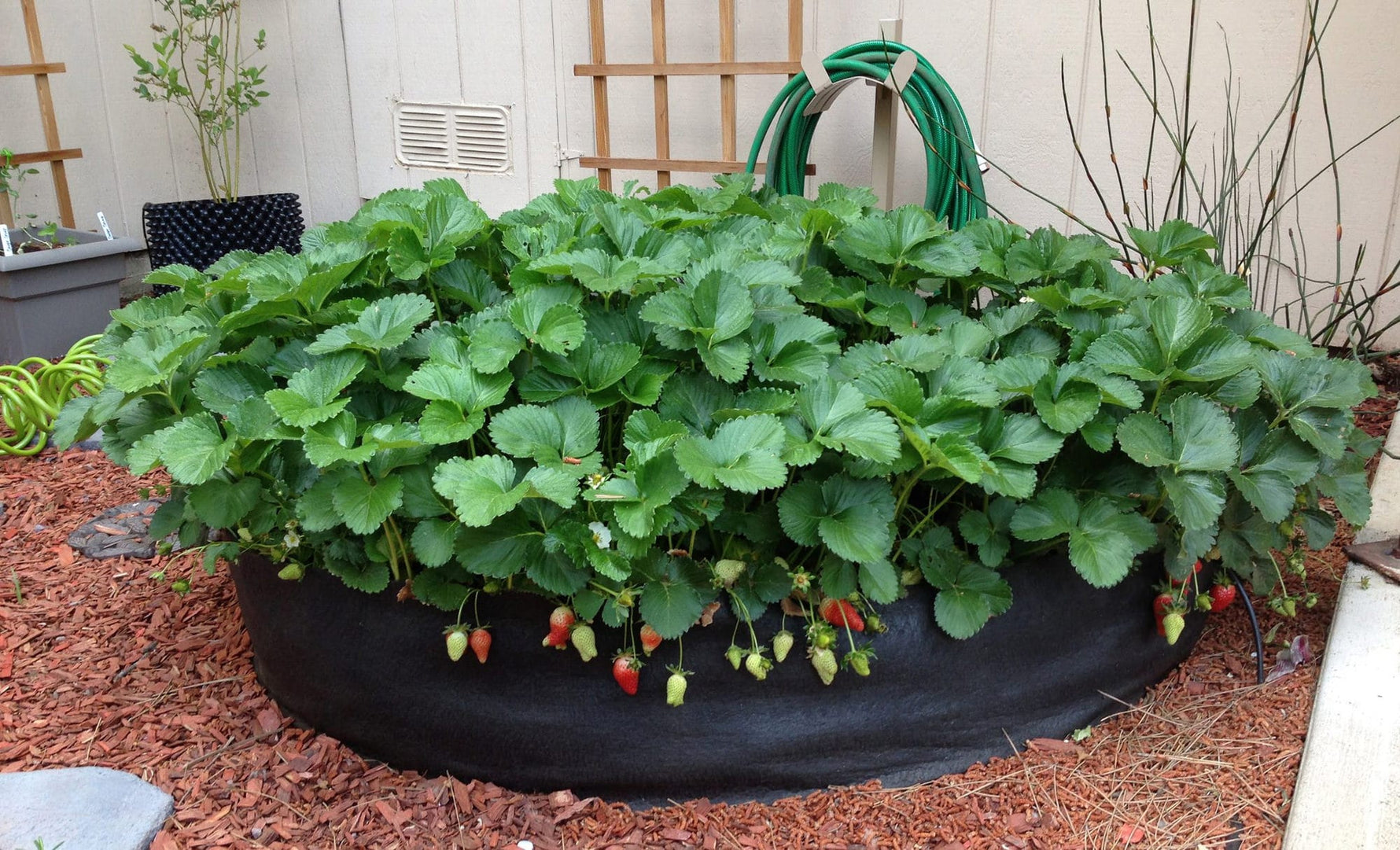 smart pot raised bed planter Smart Pot Round Raised Bed