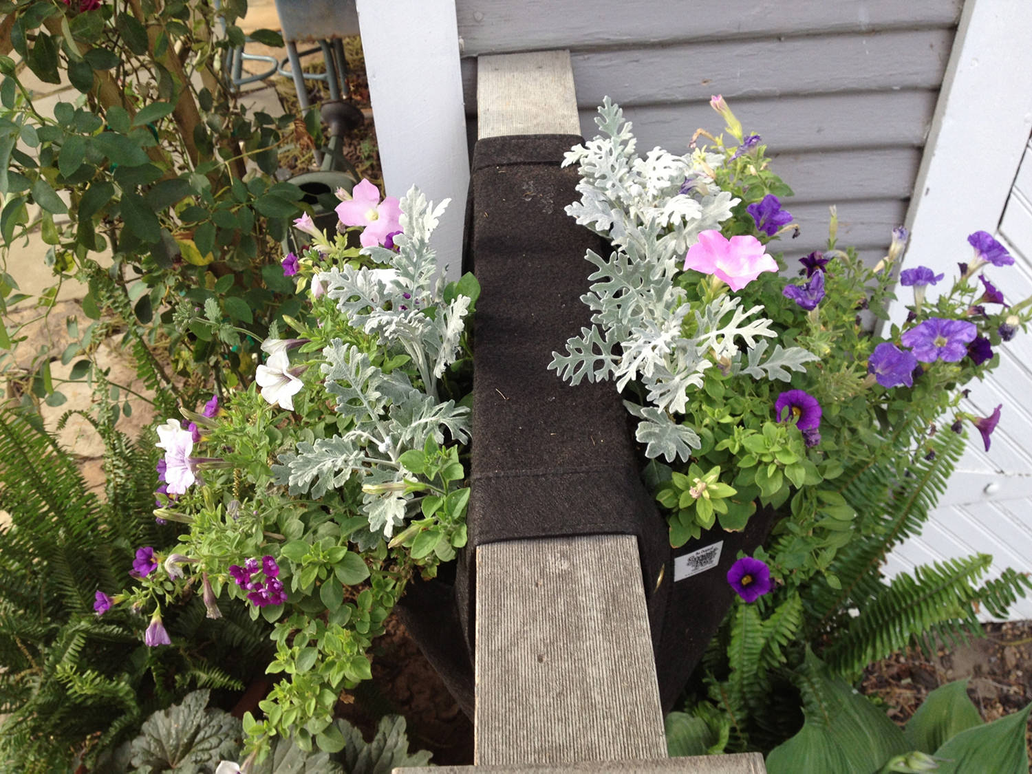 pots for wall plants Smart Pot Wall Flower Planter
