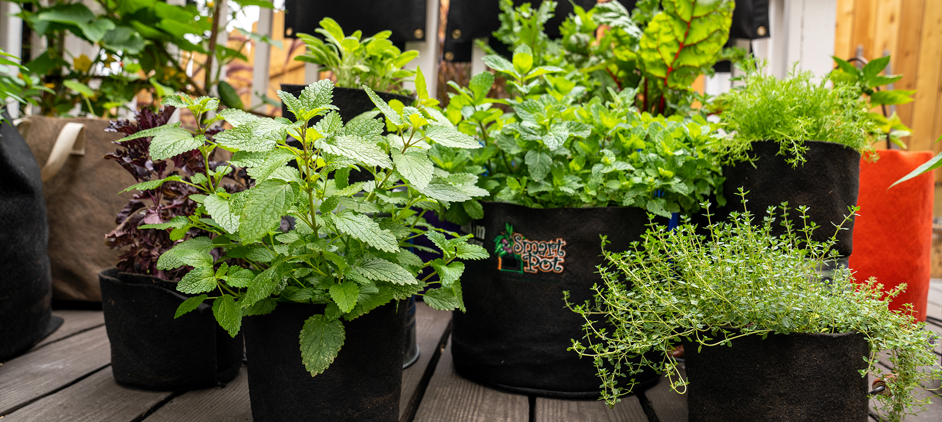 Samrt Pot How It Works – Smart Pot