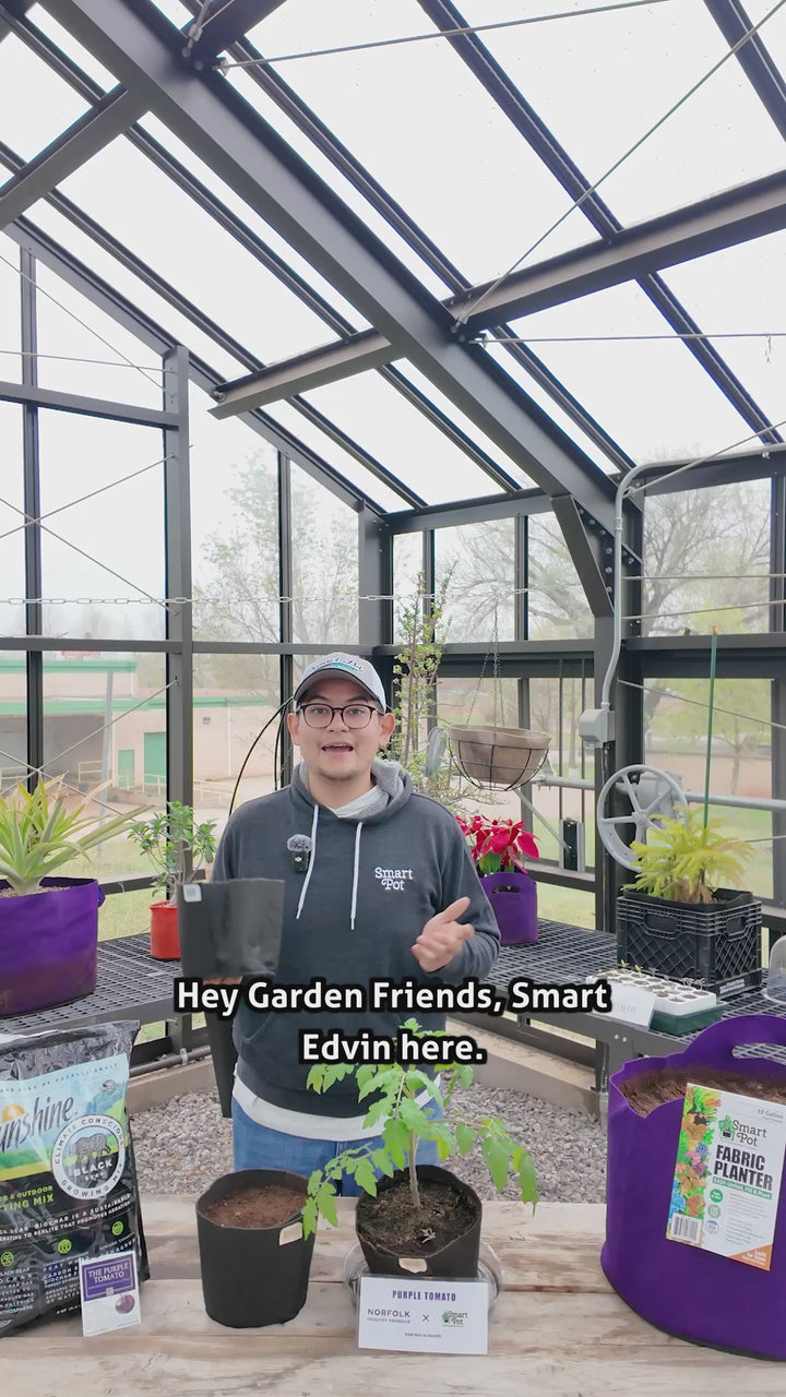 How to use a Smart Pot Transplanter: grow, open, and transplant