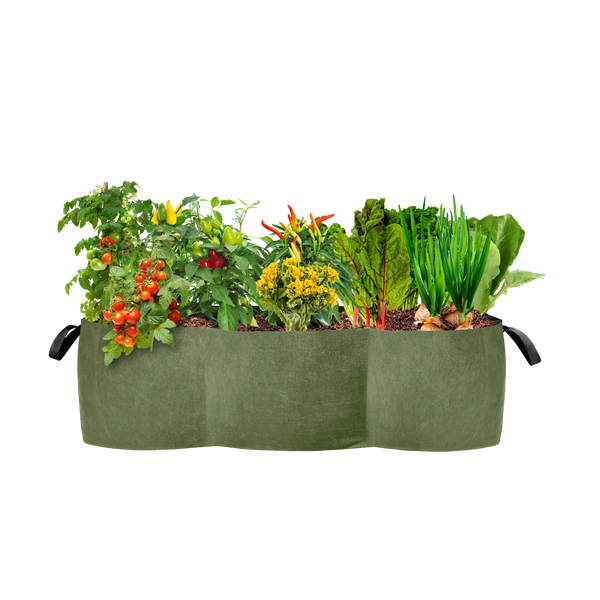 Smart Pot Lil' Shorty Raised Bed Planter