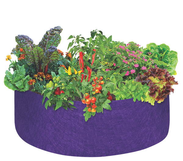 Smart Pot Round Raised Bed