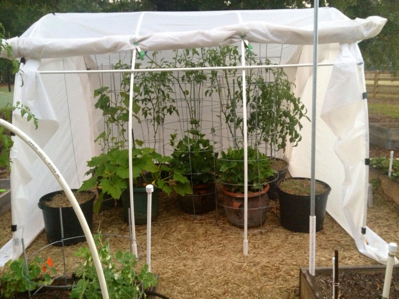 Protecting your garden from the elements