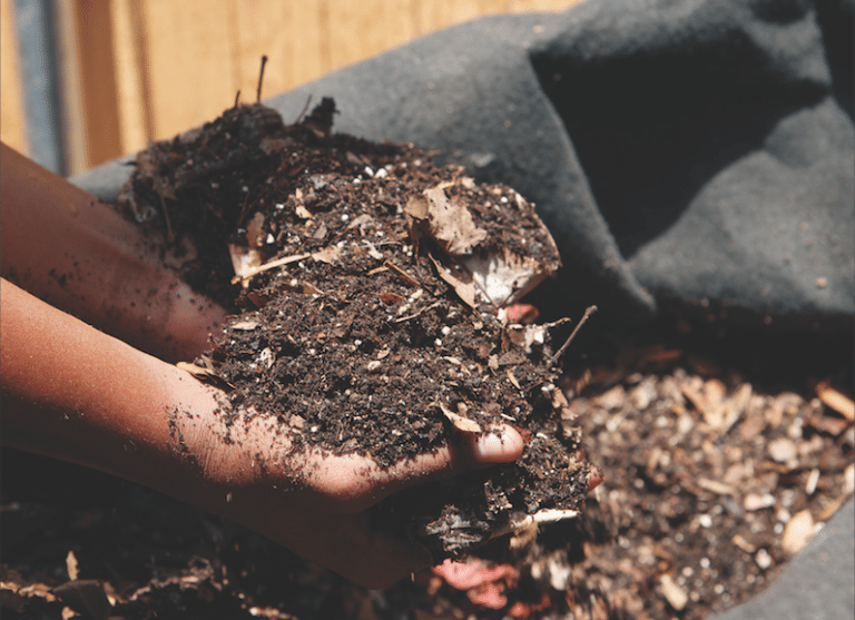 Composting Made Simple