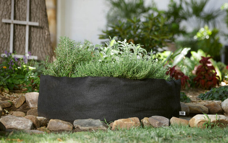 The Big Bag Bed Raised Bed Container Garden:  Which Size is Right for You?