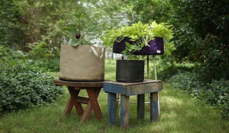 Key Selling Points for Smart Pots: The Best Pots for Plants